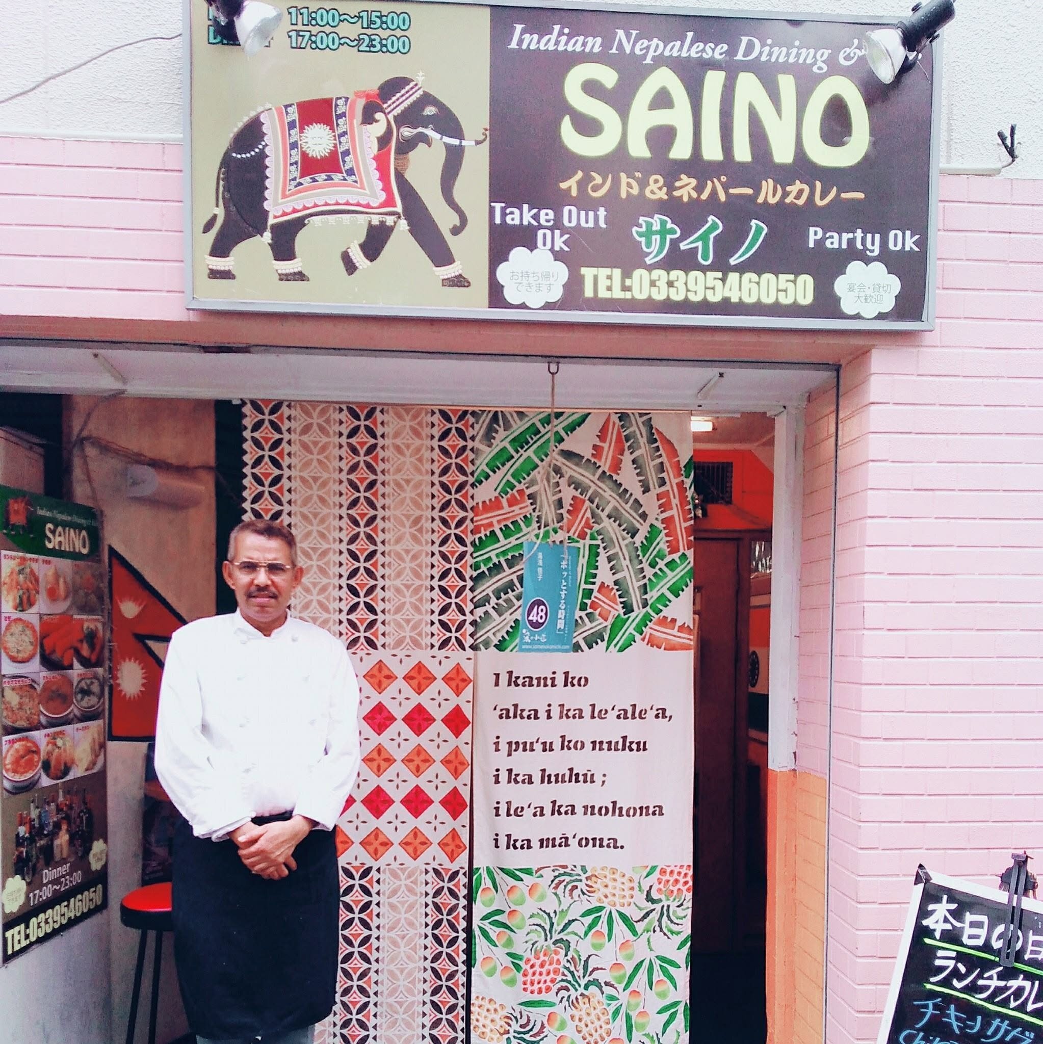 Saino logo