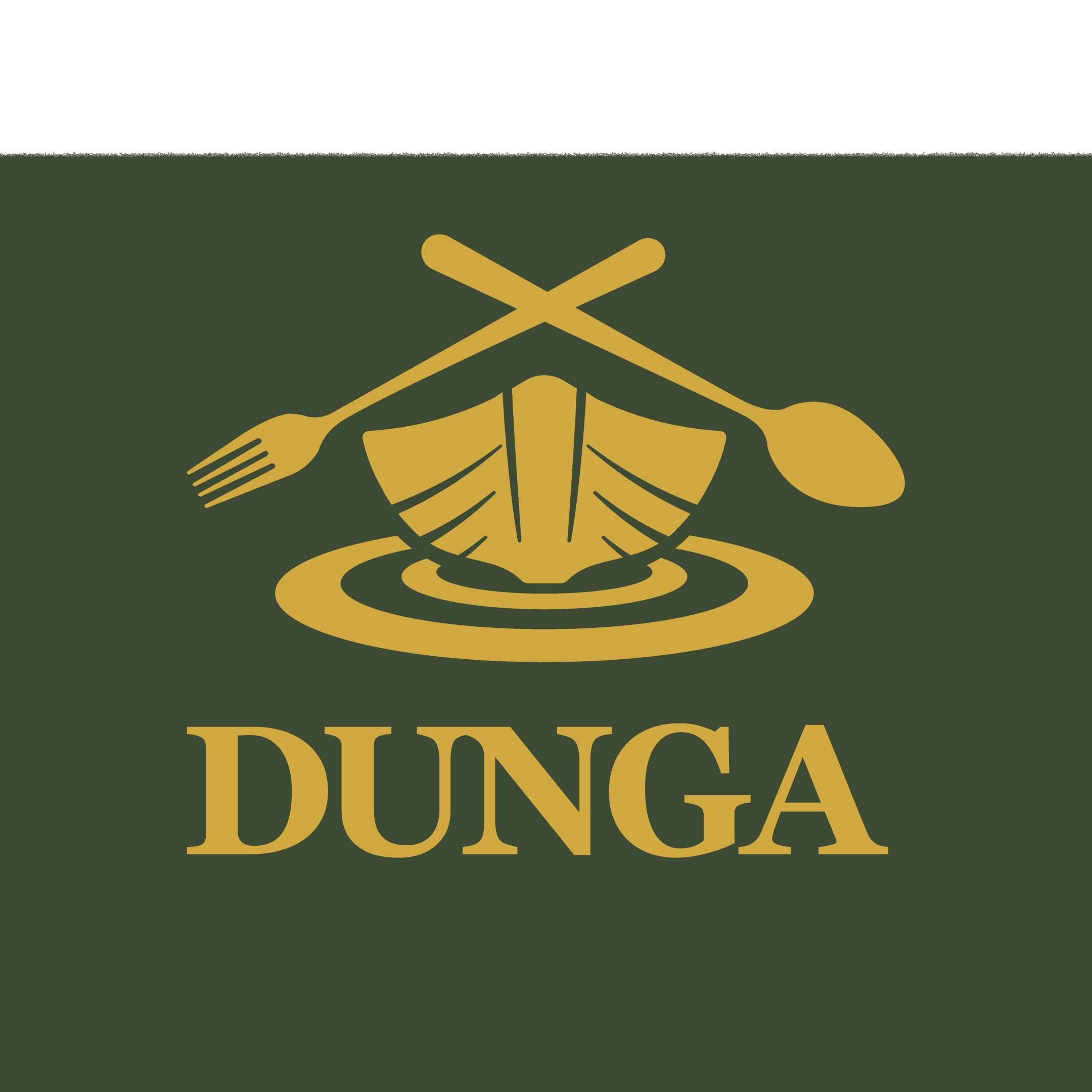 Dunga logo