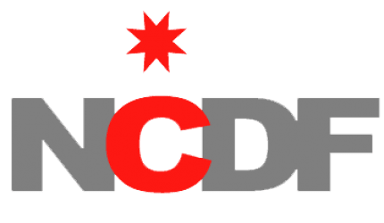 Nepal Community Development Foundation logo