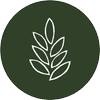 Momo Wholefood logo