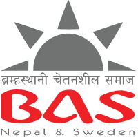 BAS in Sweden logo