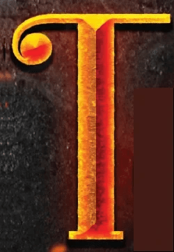 Tandoori Grill Indian & Nepalese Restaurant logo