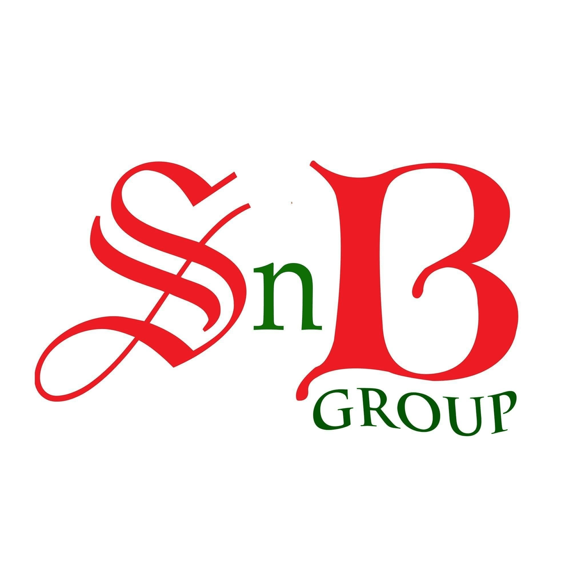 SnB Group Ltd. logo